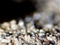 Miniature photo sous marine