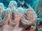Miniature photo sous marine